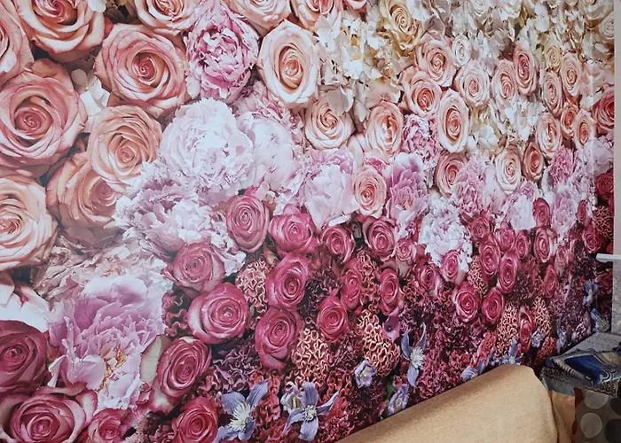 Merkez Стамбул